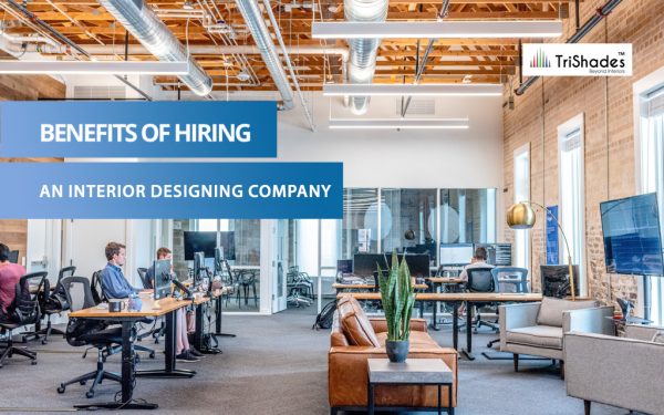 Best Interior Designers Company in Vijayawada, Guntur, Ongole,Vizag